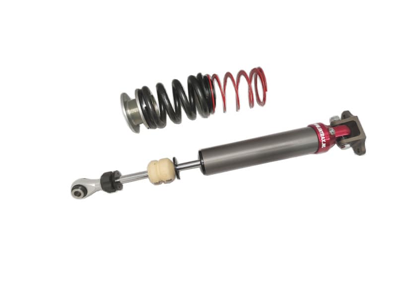 BMW-E46-330i-G-LADER-INTRAX-Suspension-Shock-absorber-schokdemper-demper-schroefset-verlaging-coilover-2